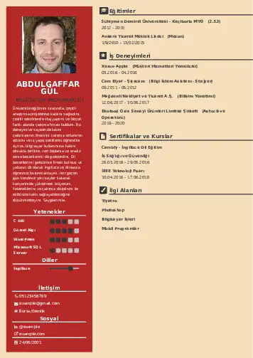 Bilgisayar Programcısı CV Örnekleri cv indir